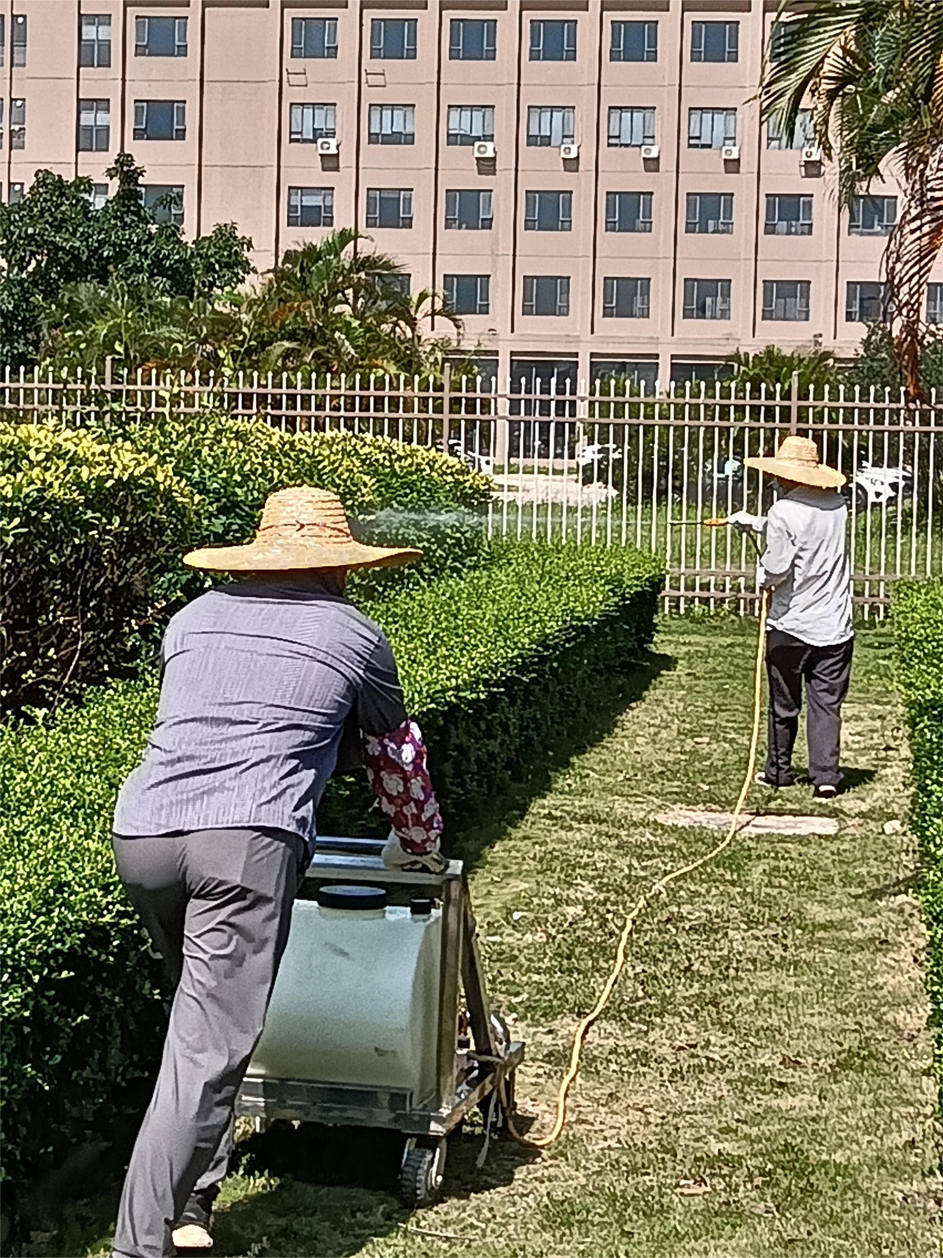 拱北白蚁防治 拱北杀虫灭鼠