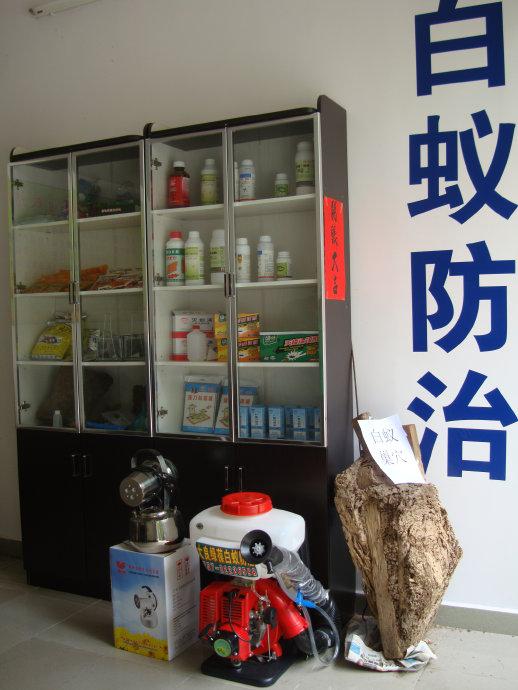珠海白蚁中心告诉你如何根治白蚁