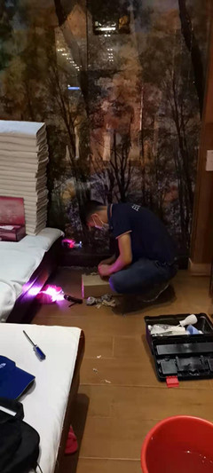 珠海白蚁公司分享最简单有效的方法