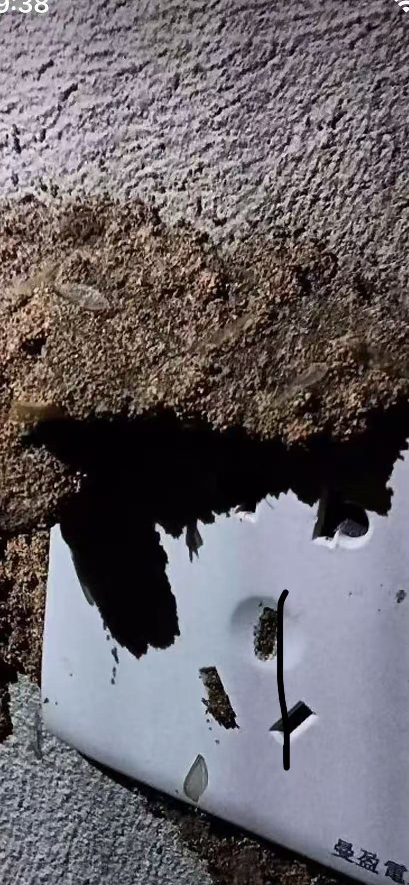 如何发现珠海自己家庭白蚁 如何发现珠海自己家庭白蚁