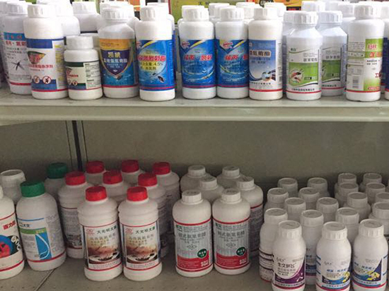 珠海酒店消杀除四害 白蚁防治