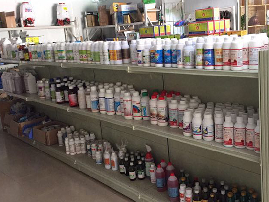 珠海白蚁防治公司园区灭白蚁中的问题处理 珠海白蚁防治公司园区灭白蚁中的问题处理